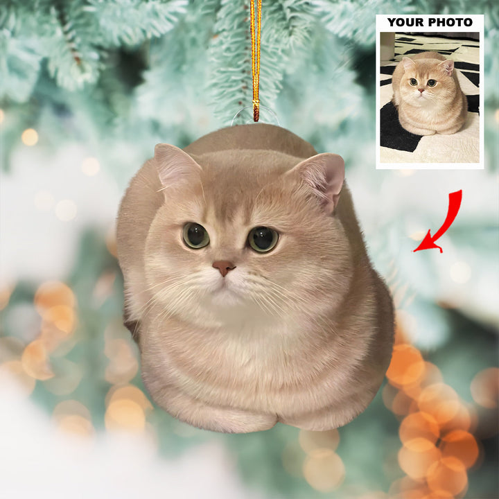 Little Paws - Personalized Photo Mica Ornament - Customized Your Photo Ornament - Christmas Gift For Pet Lovers
