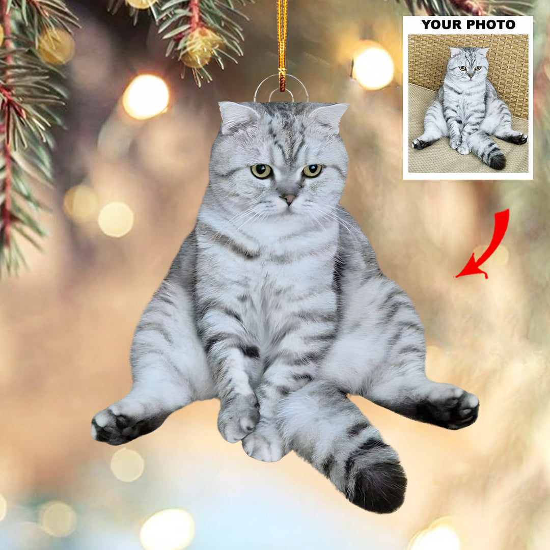 Santa Purr - Personalized Photo Mica Ornament - Customized Your Photo Ornament - Christmas Gift For Pet Lovers