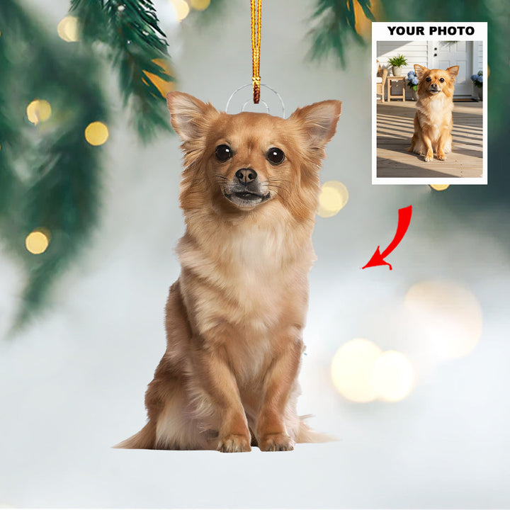 Forever Paws - Personalized Photo Mica Ornament - Customized Your Photo Ornament - Christmas Gift For Pet Lovers