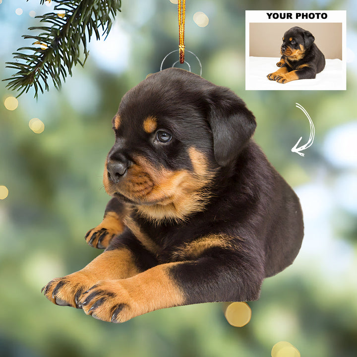 Loyal Companion - Personalized Photo Mica Ornament - Customized Your Photo Ornament - Christmas Gift For Pet Lovers