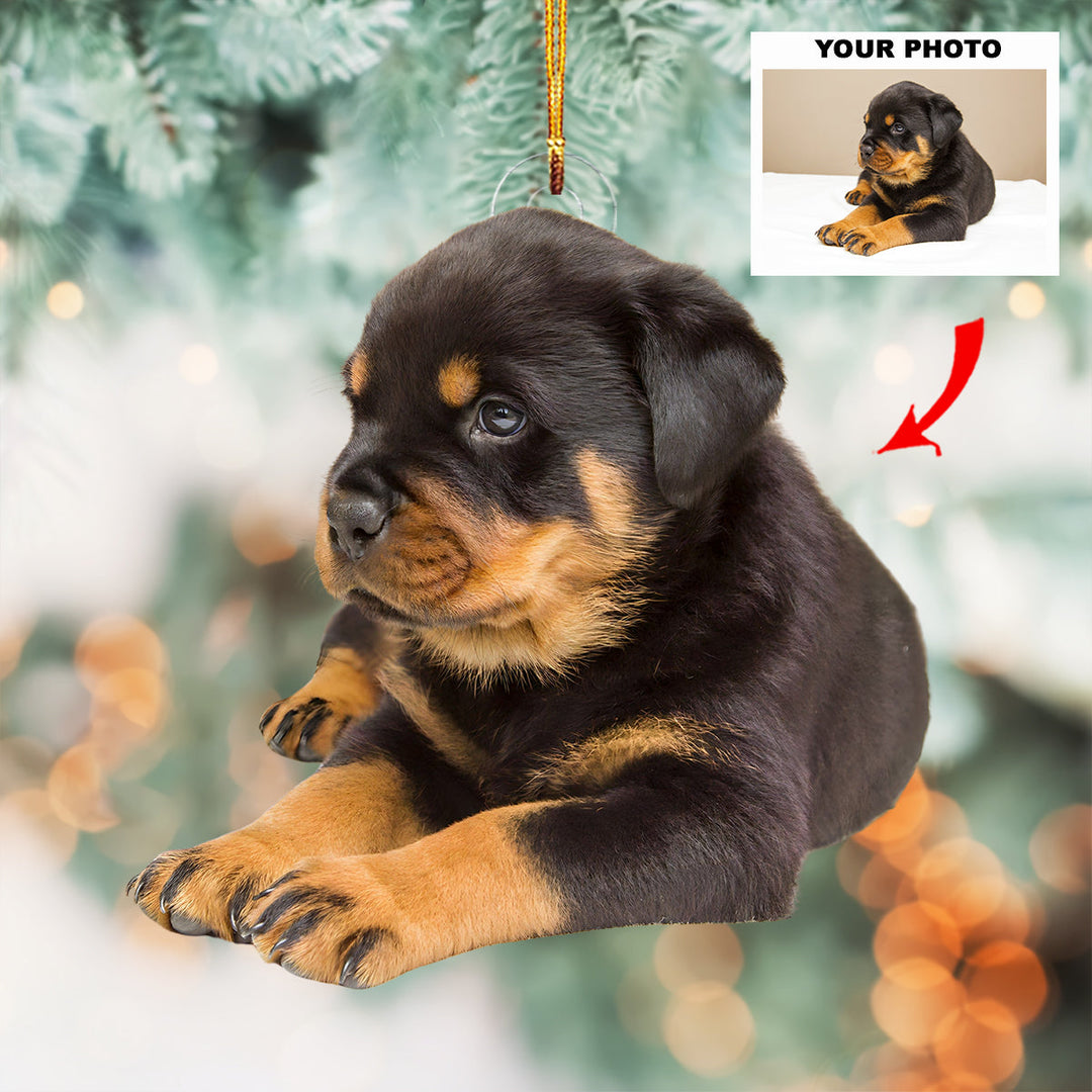 Loyal Companion - Personalized Photo Mica Ornament - Customized Your Photo Ornament - Christmas Gift For Pet Lovers