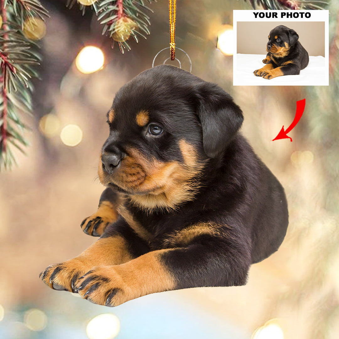 Loyal Companion - Personalized Photo Mica Ornament - Customized Your Photo Ornament - Christmas Gift For Pet Lovers