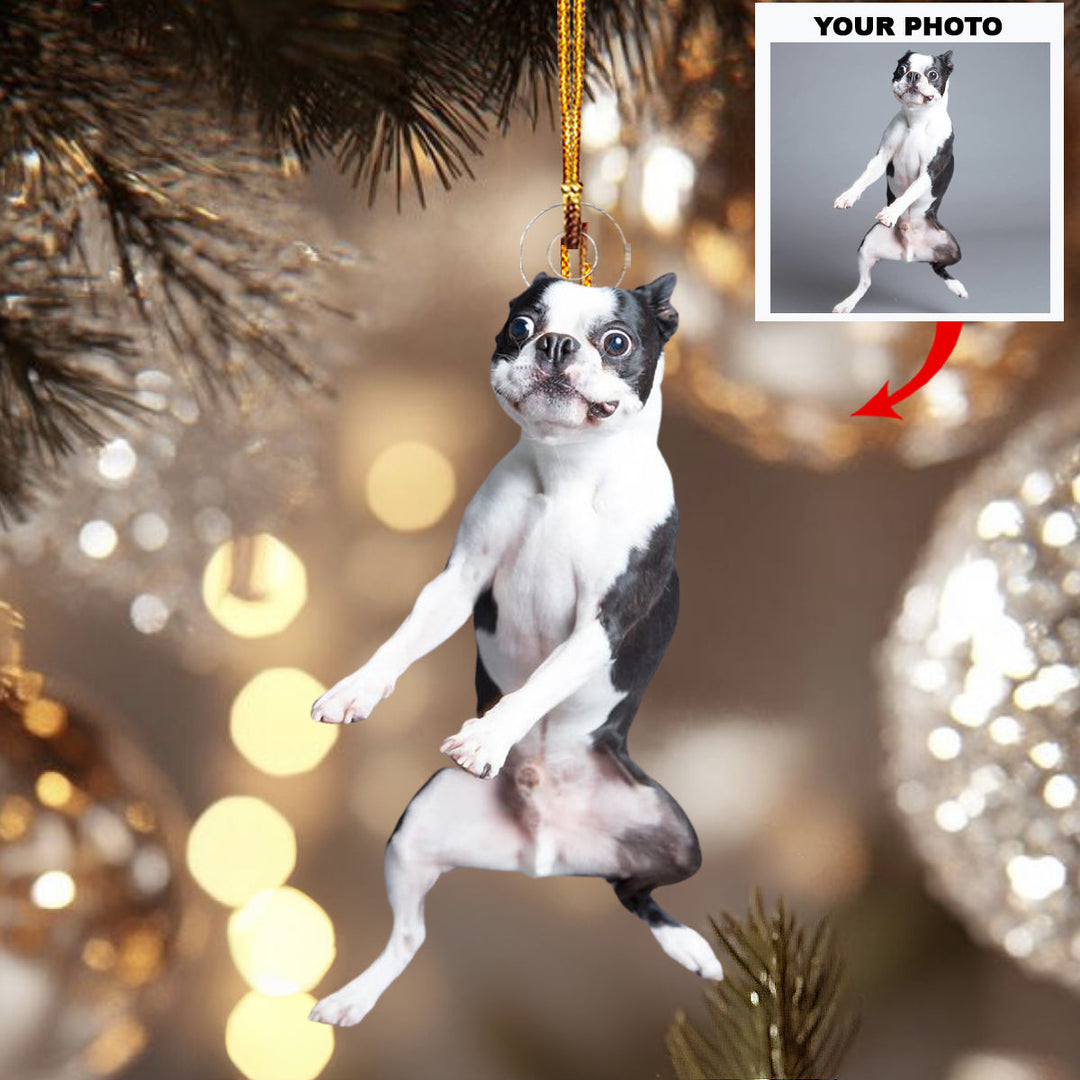 Dancing Doggo - Personalized Photo Mica Ornament - Christmas Gift For Dog Lovers, Family Members