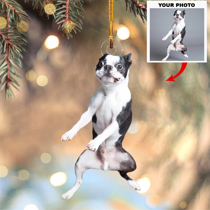 Dancing Doggo - Personalized Photo Mica Ornament - Christmas Gift For Dog Lovers, Family Members
