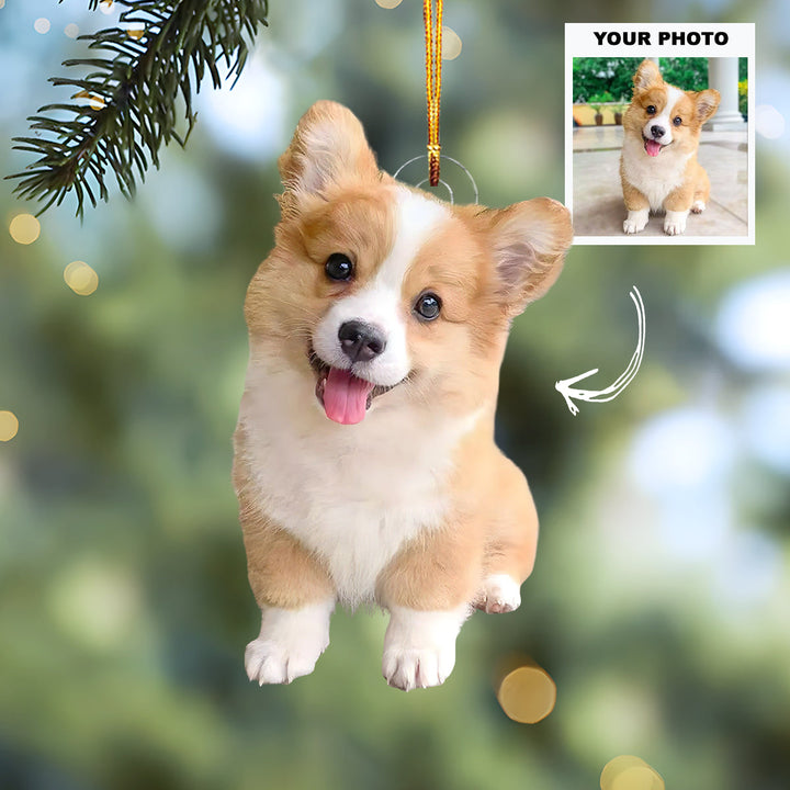 Jingle Paws - Personalized Photo Mica Ornament - Customized Your Photo Ornament - Christmas Gift For Pet Lovers