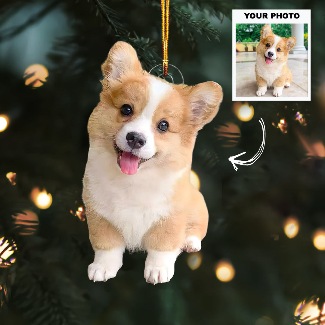 Jingle Paws - Personalized Photo Mica Ornament - Customized Your Photo Ornament - Christmas Gift For Pet Lovers