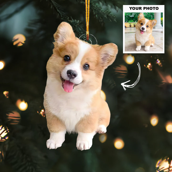 Jingle Paws - Personalized Photo Mica Ornament - Customized Your Photo Ornament - Christmas Gift For Pet Lovers