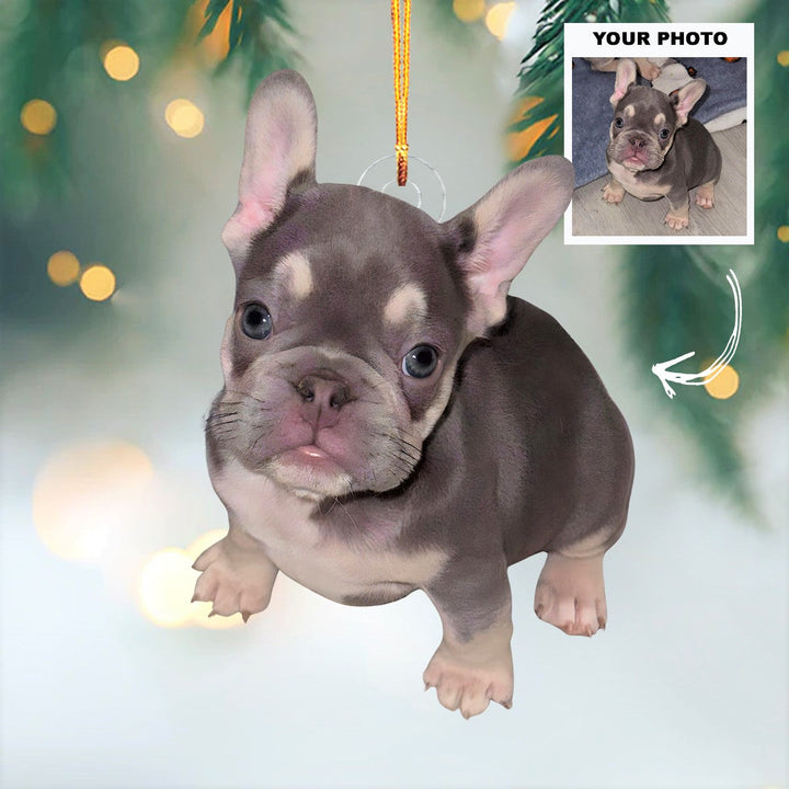 Cozy Pup - Personalized Photo Mica Ornament - Customized Your Photo Ornament - Christmas Gift For Pet Lovers