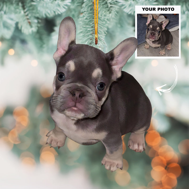 Cozy Pup - Personalized Photo Mica Ornament - Customized Your Photo Ornament - Christmas Gift For Pet Lovers