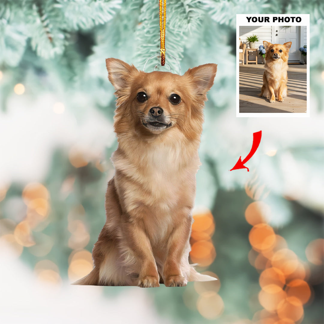 Forever Paws - Personalized Photo Mica Ornament - Customized Your Photo Ornament - Christmas Gift For Pet Lovers