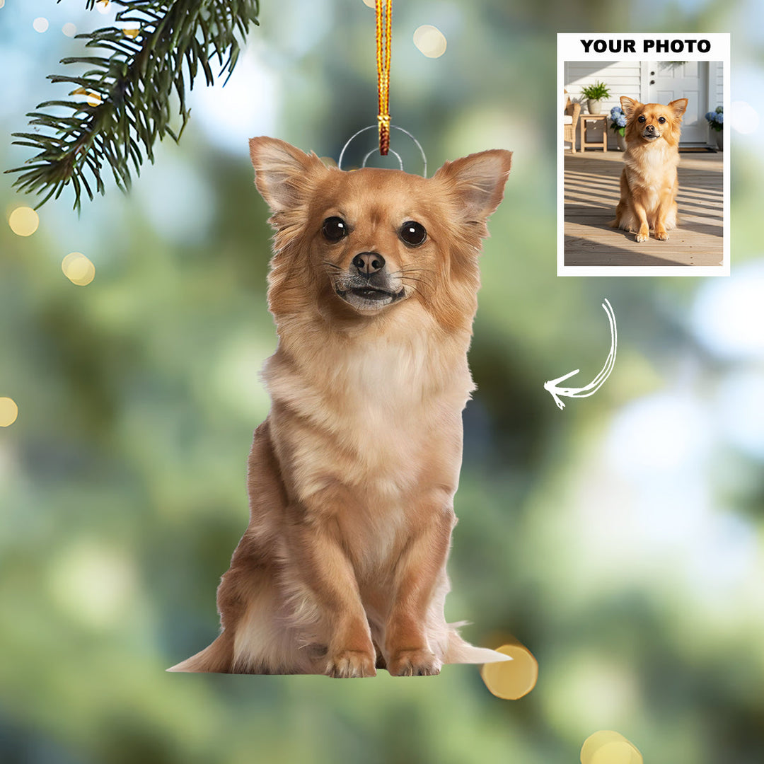 Forever Paws - Personalized Photo Mica Ornament - Customized Your Photo Ornament - Christmas Gift For Pet Lovers