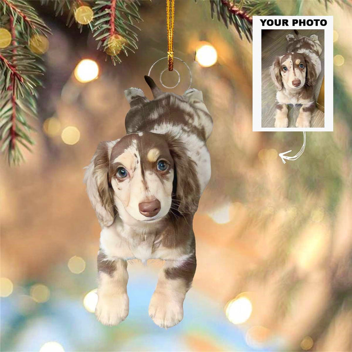 Best Pup - Personalized Photo Mica Ornament - Christmas Gift For Dog Lover, Dog Mom, Dog Dad
