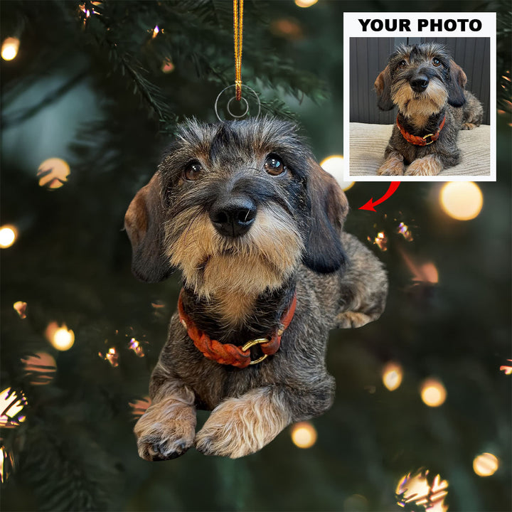 Snuggly Paws - Personalized Photo Mica Ornament - Christmas Gift For Pet Lovers