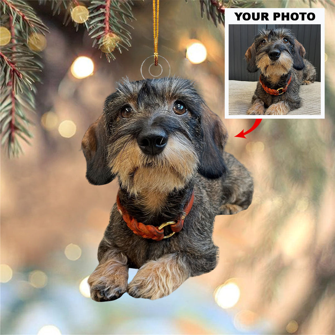 Snuggly Paws - Personalized Photo Mica Ornament - Christmas Gift For Pet Lovers