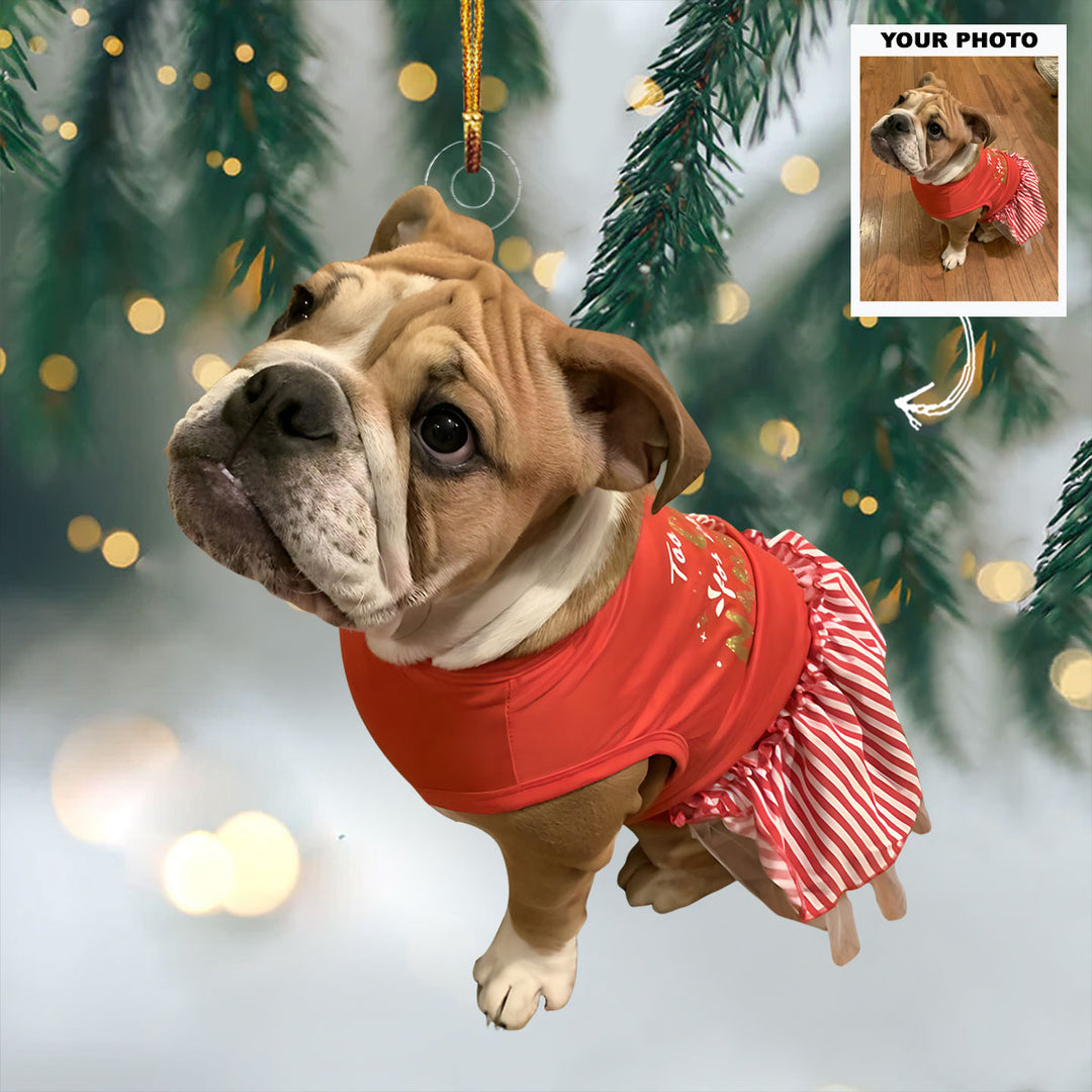 My Goofy Little Pup - Personalized Photo Mica Ornament - Christmas Gift For Bulldogs Parents, Bulldogs Lovers