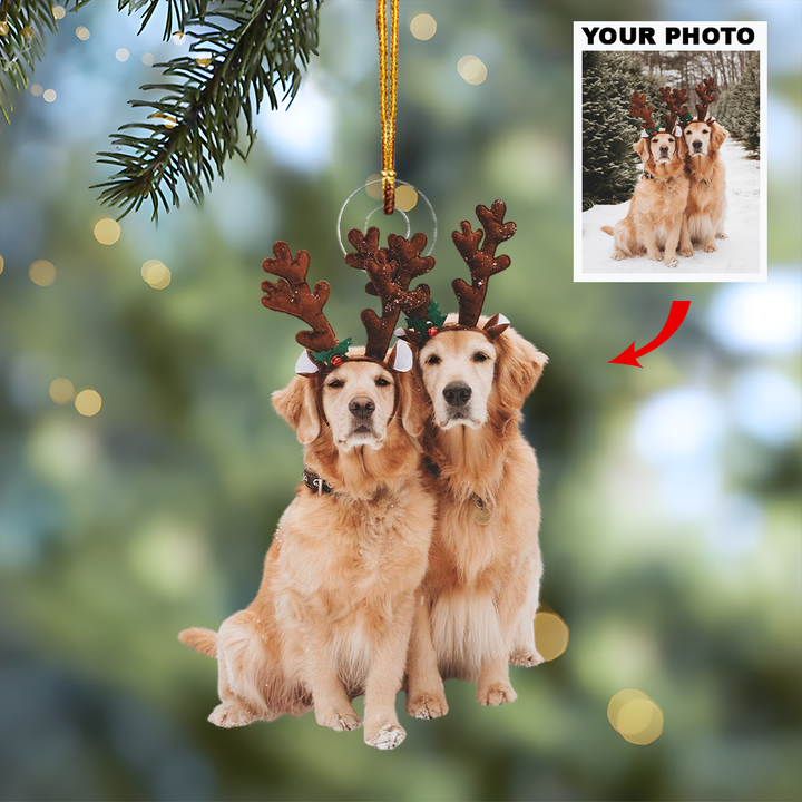 Pets Play In the Snow - Personalized Custom Photo Mica Ornament - Christmas Gift For Pets Lover, Animals Lover, Dog Mom, Dog Dad, Family, Family Members