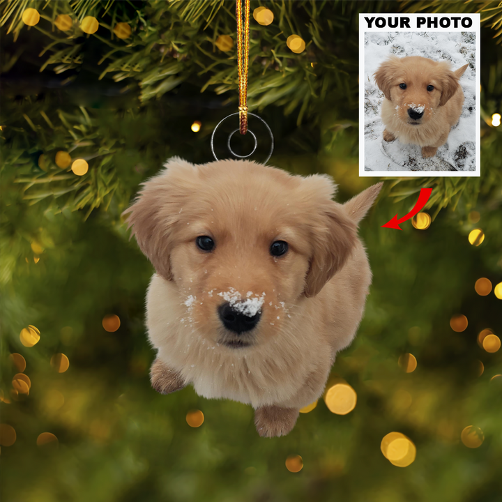 Pets Play In the Snow - Personalized Custom Photo Mica Ornament - Christmas Gift For Pets Lover, Animals Lover, Dog Mom, Dog Dad, Family, Family Members