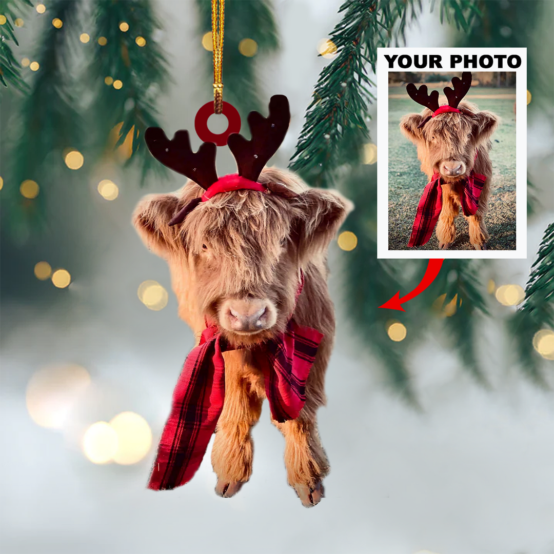 Personalized Photo Mica Ornament - Customized Your Photo Ornament V9 ARND005