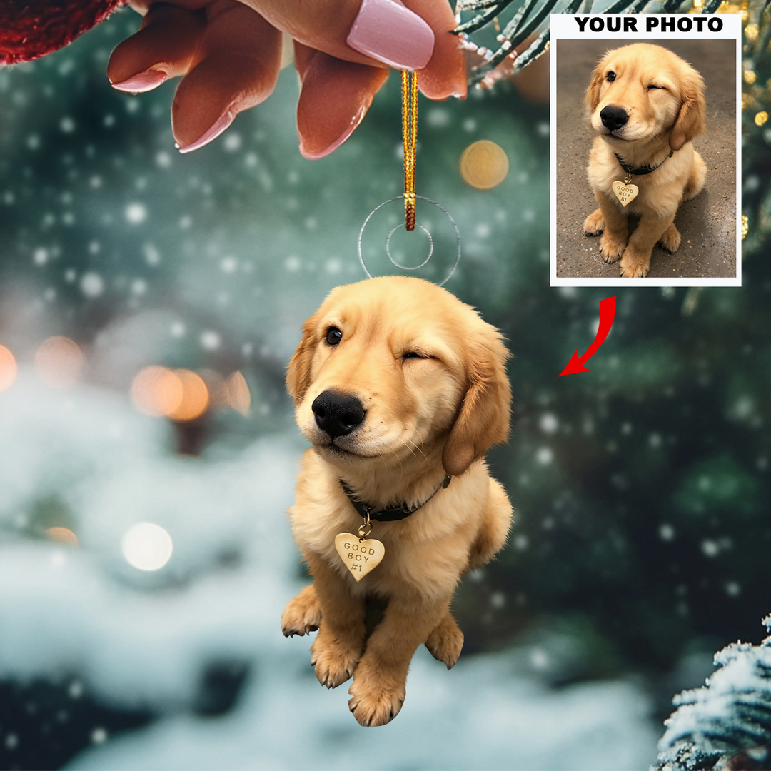 Customized Photo Ornament Pet Special Moments - Personalized Photo Mica Ornament - Christmas Gift For Pet Lovers, Dog Lovers, Cat Lovers