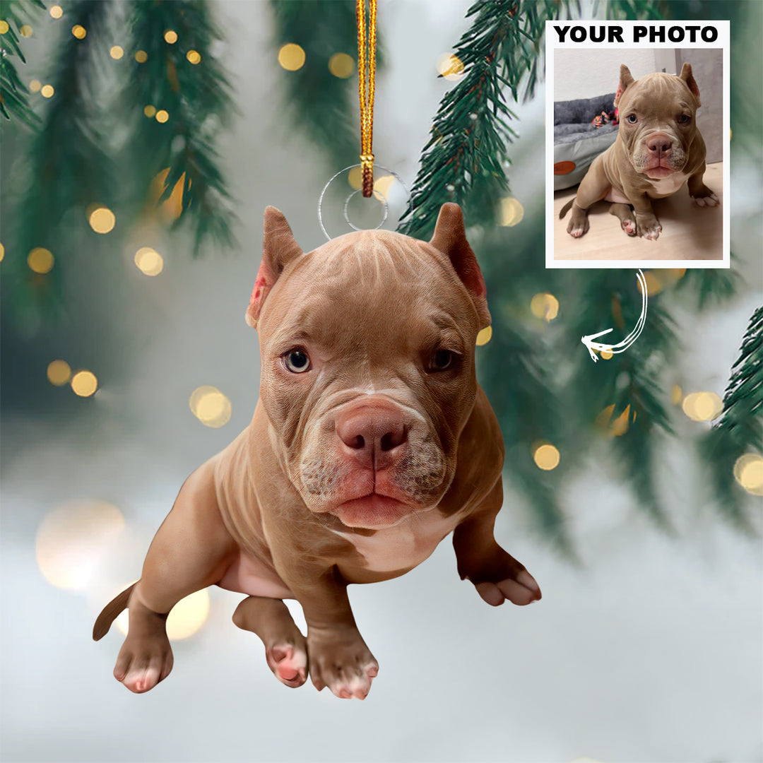 Pawfectly Ours - Personalized Photo Mica Ornament - Christmas Gift For Dog Lover, Dog Mom, Dog Dad